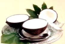 Cái chén và gáo dừa