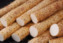 Một loại củ phơi khô là “thuốc trường thọ” giúp dưỡng thận, kiểm soát đường huyết hiệu quả