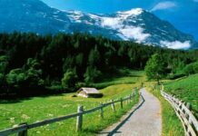 Cuộc sống không tệ như bạn nghĩ