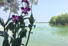 TRANSACTION – GIAO DỊCH