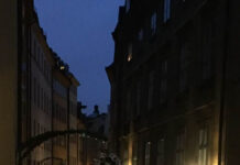 ĐỜI PHỐ – ĐỜI NGƯỜI