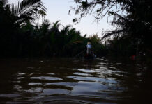 NHỮNG LINH HỒN LẤP LÁNH