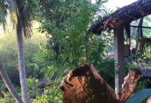 AI RỒI CŨNG LỚN