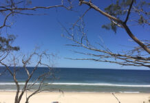 Đảo Stradbroke và 2 bài học