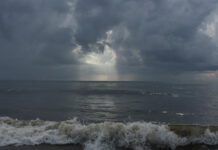 CHÂN TRẦN, TÔI ĐI VỀ PHÍA CHÂN TRỜI…