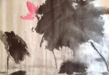 LỜI TRẦN TÌNH CỦA TÁC GIẢ