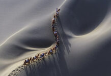 NẾU NGHĨ MÌNH QUÁ TUỔI HỌC NGOẠI NGỮ, NÊN NGHĨ LẠI!