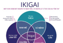 IKIGAI