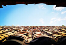 PERSPECTIVES