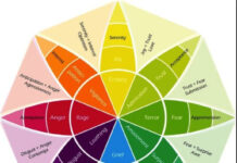 EQ & BÁNH XE CẢM XÚC