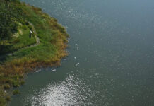 NEXT TIME, I’LL MAKE SOMETHING GOOD