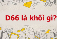 D66 là khối gì? D66 gồm những môn nào, ngành nào, trường nào?