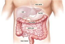 Hai loại protein giúp dự đoán ung thư đại tràng