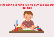 Lịch thi đánh giá năng lực, tư duy của các trường đại học năm 2024