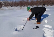 Loạt dấu chân khổng lồ trên tuyết, nghi là của quái vật Bigfoot