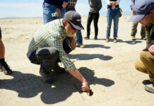 Bí ẩn dấu chân “ma quái” ở sa mạc: Chỉ hiện lên khi trời mưa, biến mất khi gặp ánh nắng Mặt trời