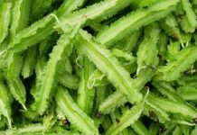 Loại đậu mà đông y gọi là “thịt xanh”, vừa ngon vừa bổ không kém nhân sâm