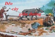 Đẽo cày giữa đường