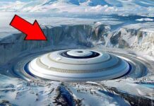 Cựu Bộ trưởng Quốc phòng Canada tiết lộ: Có một nền văn minh chưa được biết đến ẩn dưới lớp băng ở Nam Cực?