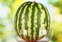 Mẹo giữ dưa hấu tươi ngon trong suốt nửa năm mà không cần chất bảo quản