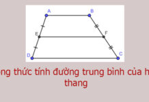 Công thức tính đường trung bình của hình thang