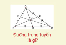 Đường trung tuyến là gì?