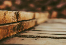 SOMEONE OUT THERE IS LIVING YOUR FUTURE