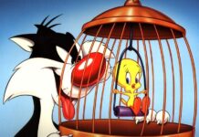 Người chồng và con vẹt