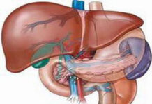 Nhược giáp kéo dài làm tăng nguy cơ ung thư gan