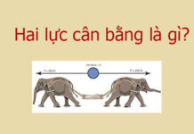 Hai lực cân bằng là gì?