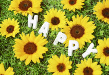 Hạnh phúc ở quanh ta