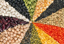 12 nguồn đạm thực vật tuyệt vời thay thế đạm động vật