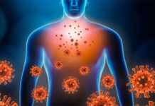 Tìm ra nguyên nhân suy giảm chức năng hệ miễn dịch