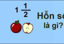 Hỗn số là gì? – Web Giải Bài Tập