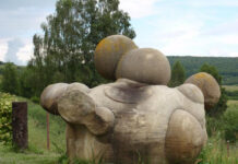 Hòn đá kỳ lạ lớn lên như nấm sau mưa