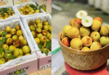 Loại quả là “vua chống lão hóa tự nhiên”, được bán nhiều khắp các chợ: Vừa đẹp da, lại bổ xương khớp