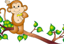 Khỉ và châu chấu