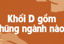 Khối D01 thi môn nào, học ngành nào?