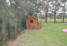 Rùng mình 13 câu chuyện có thật đáng sợ hơn cả phim kinh dị