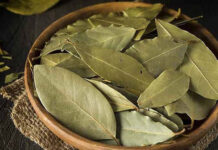 Việt Nam có 1 loại lá phơi khô thơm tự nhiên giàu vitamin C, hạ đường huyết, ngừa sỏi thận