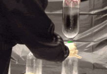 Những thí nghiệm khoa học có thể làm tại nhà