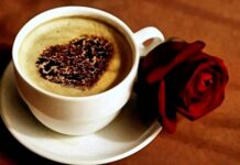 Con gà mái và những lời nói dối