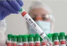 Mỹ ghi nhận ca mắc cúm gia cầm không qua động vật