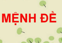 Mệnh đề là gì? Mệnh đề chứa biến là gì? Các loại mệnh đề cần ghi nhớ