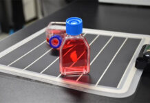 Nhật Bản giới thiệu mô hình “trái tim sống” đầu tiên trên thế giới