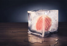 Lần đầu tiên “rã đông” thành công não người đông lạnh