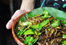 Một món ăn “đặc sản” vào mùa: Người Việt mê tít nhưng tiềm ẩn nguy cơ bệnh tật, có thể gây tử vong