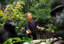 Bí kíp “đọc suy nghĩ” của người khác được FBI và CIA sử dụng