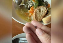 Ăn nghêu xào, cô gái vô tình cắn phải viên ngọc màu tím siêu hiếm