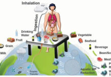 Bản đồ mức độ ăn phải vi nhựa của con người
